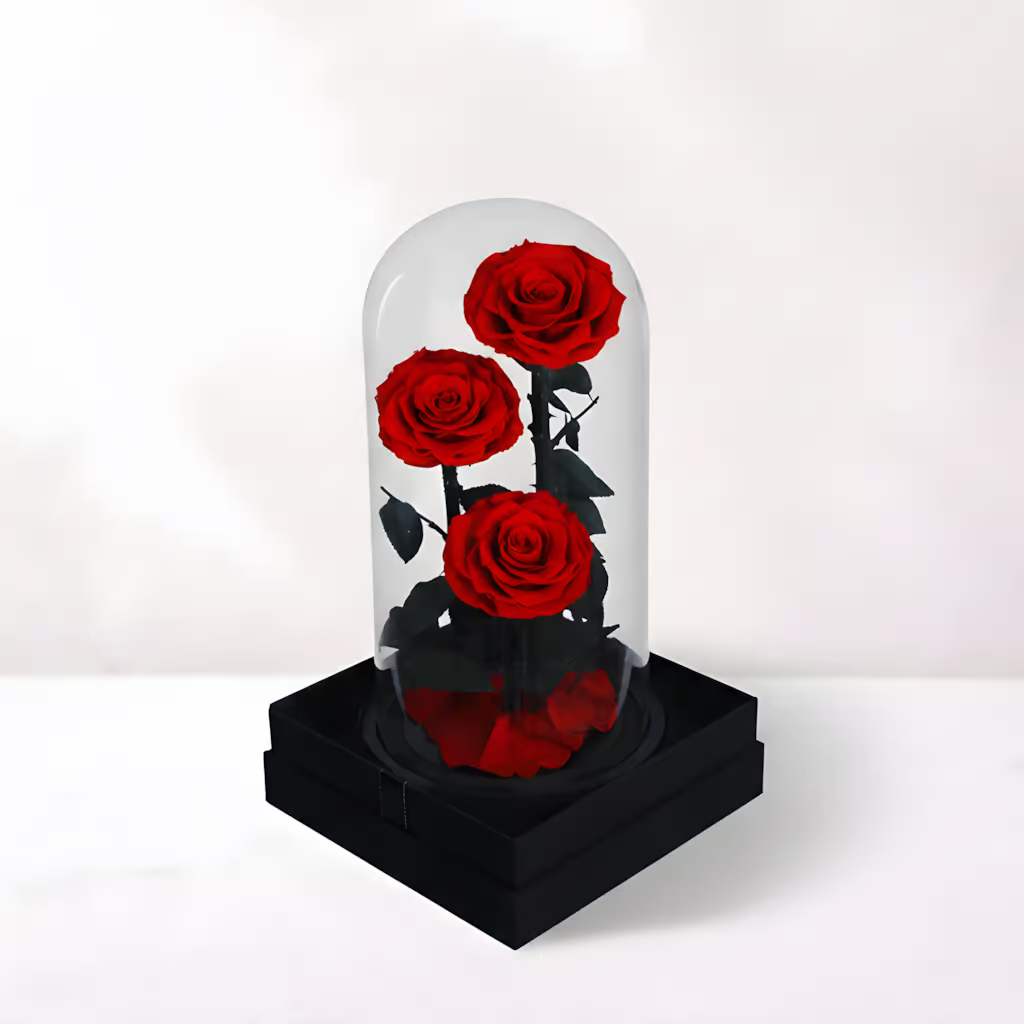 Forever Roses