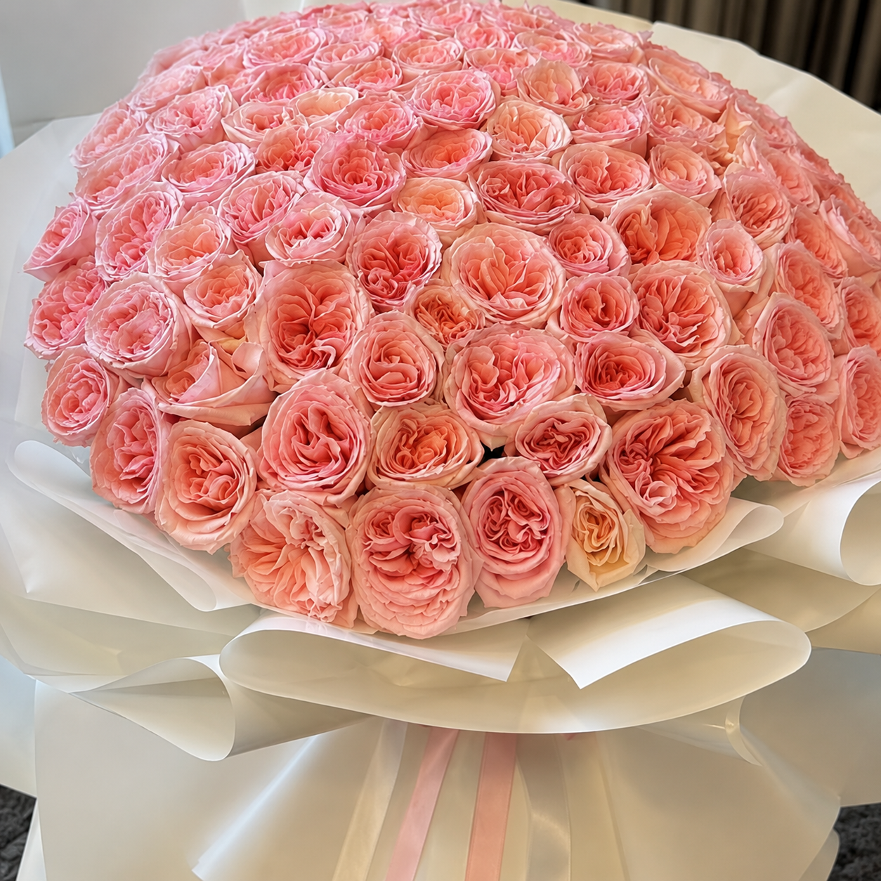 101 Pink Roses