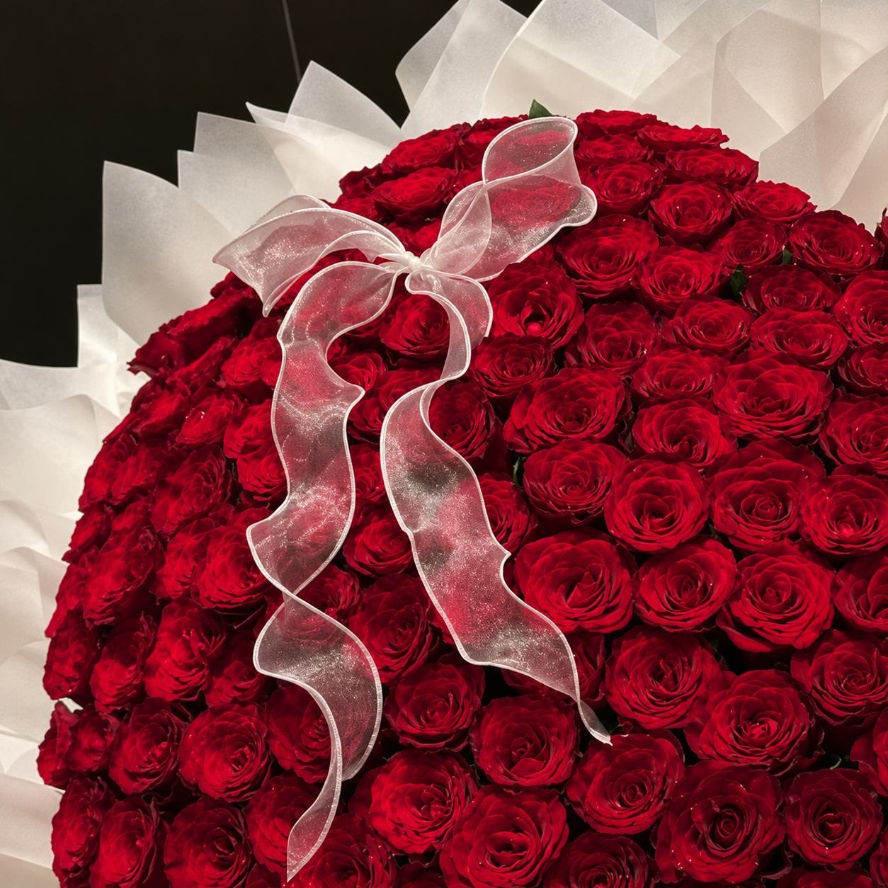 101 Red Roses