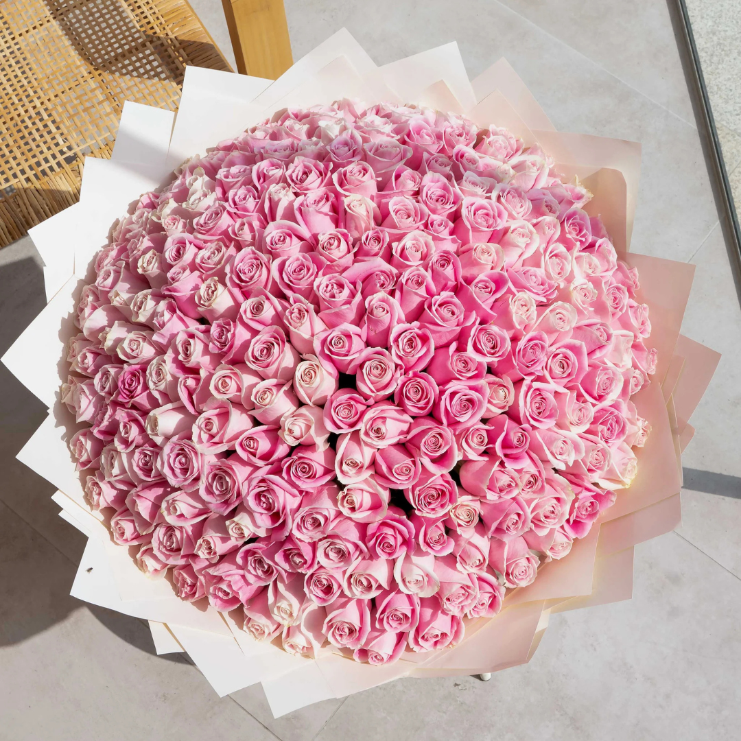 Bouquet of 150 pink roses outside in daylight