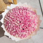 Bouquet of 150 pink roses outside in daylight