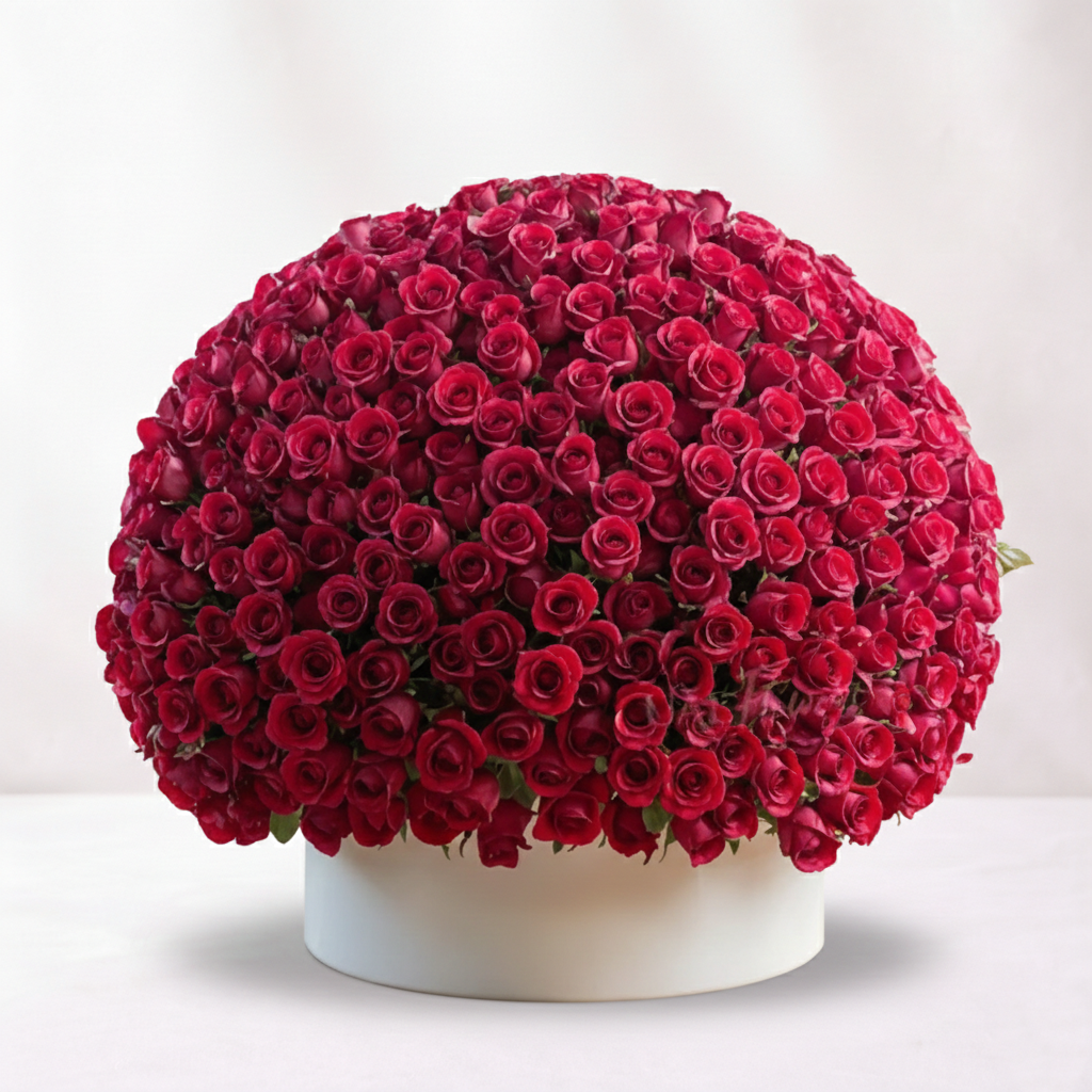 1000 Red Roses Luxury Arrangement