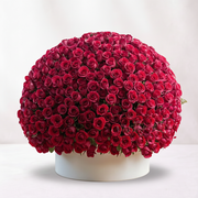 1000 Red Roses Luxury Arrangement