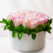 Blush Pink Roses in Box