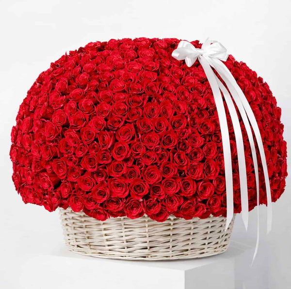 red roses