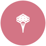 Flower bouquets for mothers