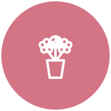 Flowers vase arrangement