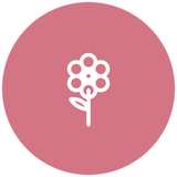 Pink flowers