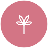 Sympathy flowers